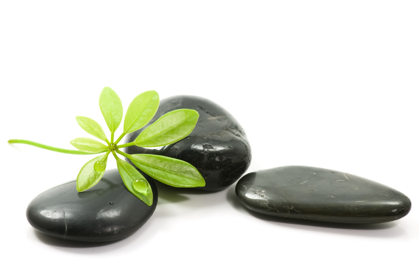 iStock_000005335883Small